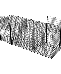 ΠΑΓΙΔΕΣ ΠΤΗΝΩΝ