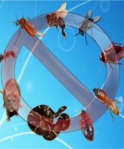 ΣΚΕΥΑΣΜΑΤΑ ΔΗΜΟΣΙΑΣ ΥΓΕΙΑΣ