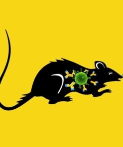 ΠΟΝΤΙΚΟΦΑΡΜΑΚΑ