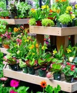 ΑΝΘΟΚΟΜΙΚΑ