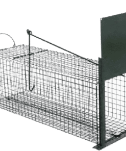 ΠΑΓΙΔΕΣ ΜΙΚΡΩΝ ΖΩΩΝ