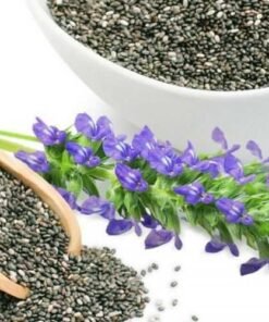 ΣΠΟΡΟΙ ΑΡΩΜΑΤΙΚΩΝ ΦΥΤΩΝ