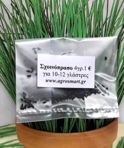 116292723 604564740484788 9112832826891282116 n