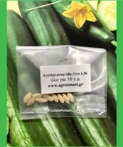 Aggouri 001