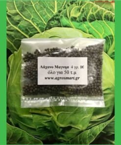 lahano magnisias 001