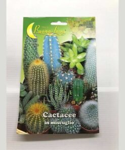 ΚΑΚΤΟΙ ΜΙΓΜΑ