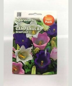 ΚΑΜΠΑΝΟΥΛΑ