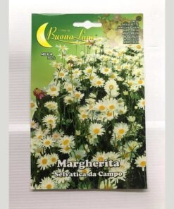 ΜΑΡΓΑΡΙΤΑ ΑΣΠΡΗ