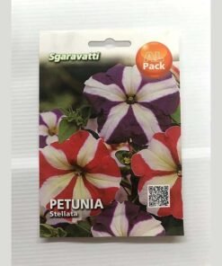 ΠΑΝΣΕΣ ΔΙΧΡΩΜΟΣ