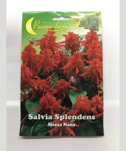 ΣΑΛΒΙΑ ΦΩΤΙΑ