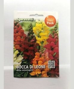 ΣΚΥΛΑΚΙ ΨΗΛΟ