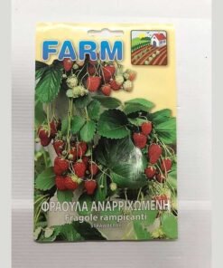 ΦΡΑΟΥΛΑ ΑΝΑΡΙΧΩΜΕΝΗ