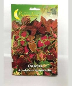 ΩΡΑΙΟ ΦΥΛΛΟ