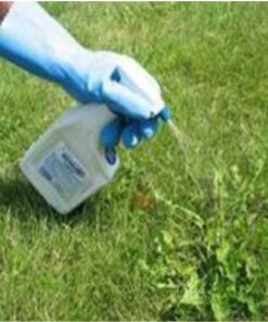 ΜΥΚΗΤΟΚΤΟΝΑ