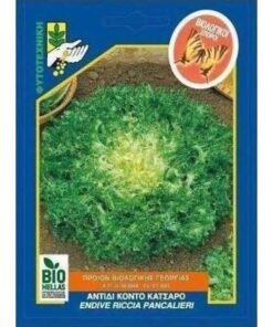 ANTIDI KONTO KATSARO 600x600 1