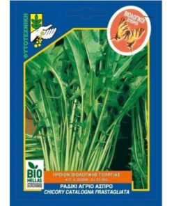 RADIKI AGRIO ASPRO 800x800 1