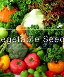 ΕΠΑΓΓΕΛΜΑΤΙΚΟΙ ΣΠΟΡΟΙ ΛΑΧΑΝΙΚΩΝ