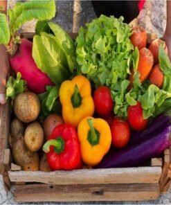 ΒΙΟΛΟΓΙΚΟΙ ΣΠΟΡΟΙ