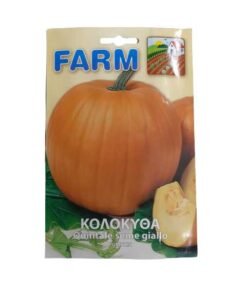 Κολοκύθα γίγας πορτοκαλί- 15 σπόροι