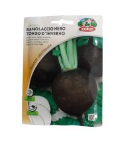 Ρεπάνι Μαύρο- 8gr