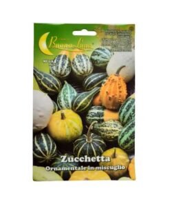Κολοκυθάκια διακοσμητικά  μίγμα