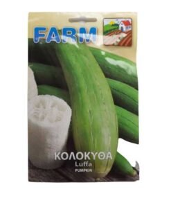 Κολοκύθα λούφα