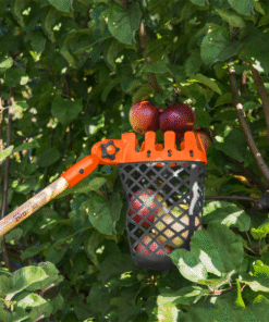 Alternative view of Φρουτοσυλλέκτης KT-V1532H