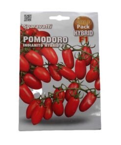 Σπόρος τομάτα βελανίδι ''INDIANITO'' υβρίδιο F1 20 περίπου σπόροι