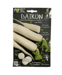 Βρώσιμο Ραπάνι