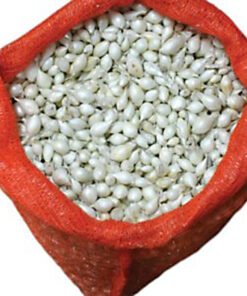 Κοκκάρι Μακρουλό μεσαίο 18/21 Λευκό Ολλανδίας Βολβός Κρεμμυδιού 1kg