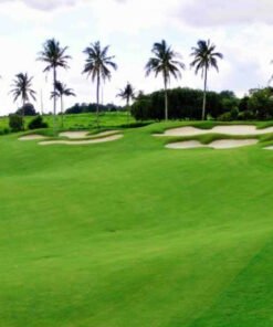 ΣΠΟΡΟΙ ΓΚΑΖΟΝ