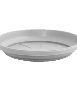 Πιάτο Στρόγγυλο Ρηχό "Festone"