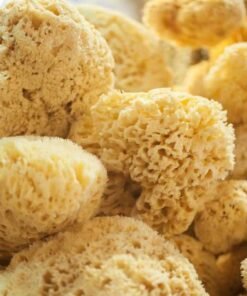 ΦΥΣΙΚΑ ΣΦΟΥΓΓΑΡΙΑ LUFFA