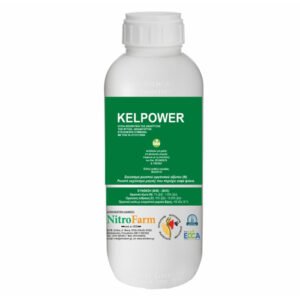 KELPOWER 1LT