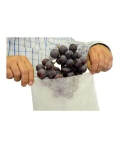 prostasia karpon 40x25 2 1 500x500