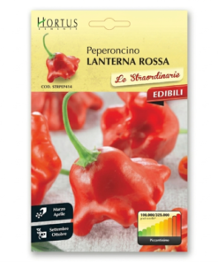 1059 ΠΙΠΕΡΙΑ ΚΑΥΤΕΡΗ LATERNA RED