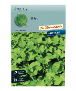 1070 ΑΣΙΑΤΙΚΗ ΣΑΛΑΤΑ SHISO