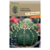 2000 ΚΑΚΤΟΣ Euphorbia polygona