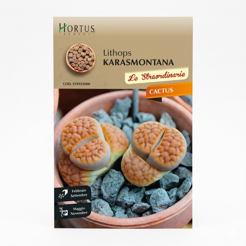 2002 ΚΑΚΤΟΣ Lithops karasmontana