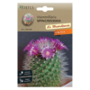 2003 ΚΑΚΤΟΣ Mammillaria spinosissima