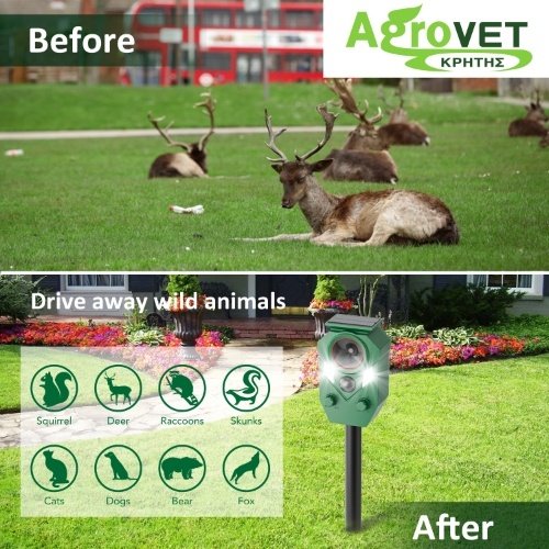 Before After (1)