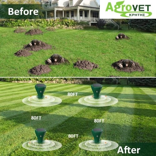 Before After (3)