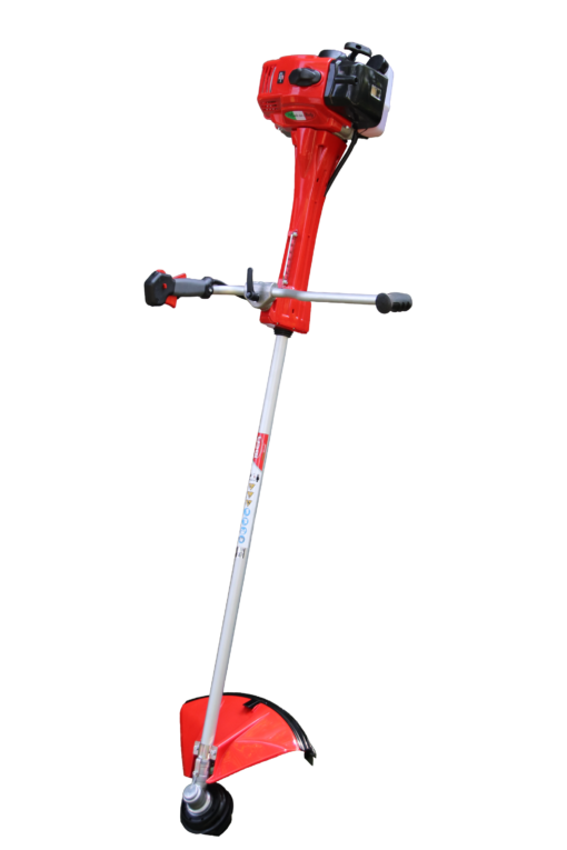 FORESTALE IBEA scaled