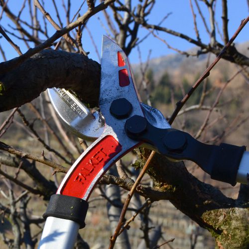 tagliarami cuneo lama dritta special lever 01 500x500 1