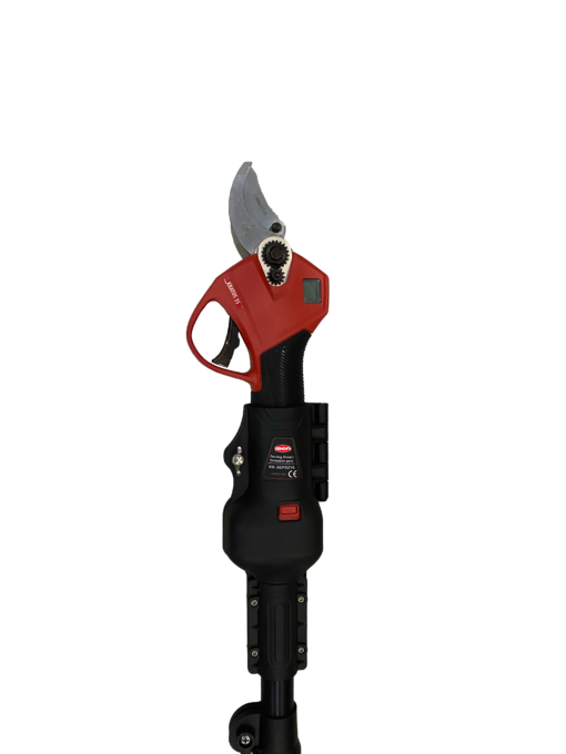 tigercut 35 punta scaled